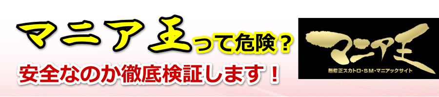 �}�j�A���͊댯�H���S���̓O�ꌟ�؁y�X�J�g���}�j�A.NET�z